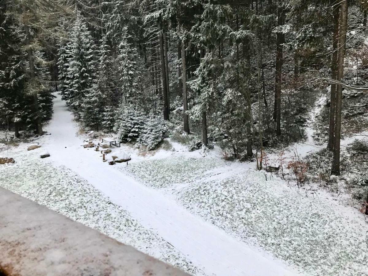 Utulny Apartman U Mumlavskych Vodopadu Harrachov Exteriör bild