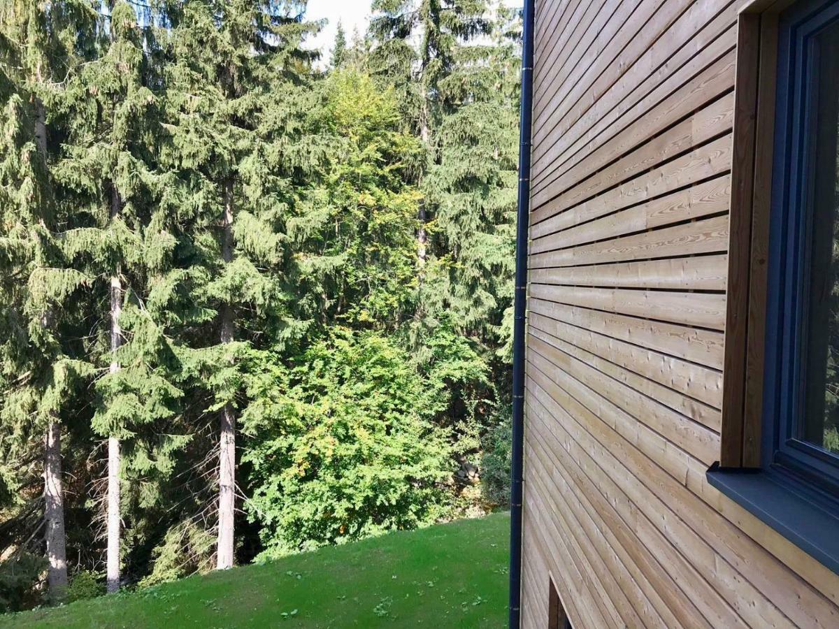 Utulny Apartman U Mumlavskych Vodopadu Harrachov Exteriör bild